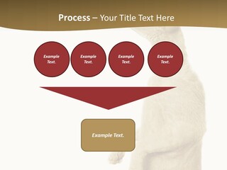 Cat Pet Inquisitive PowerPoint Template
