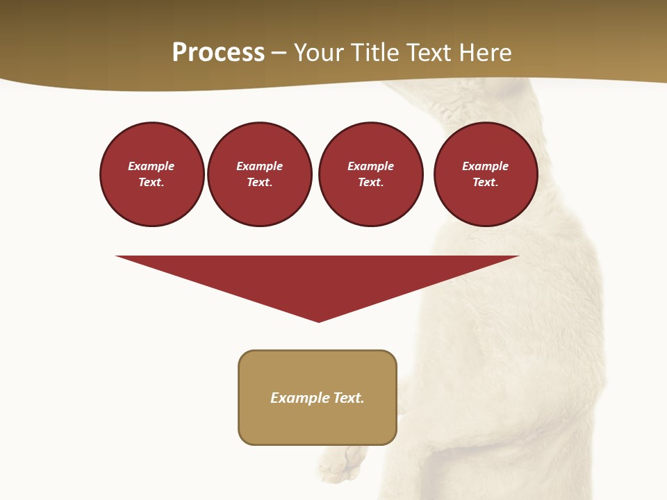 Cat Pet Inquisitive PowerPoint Template