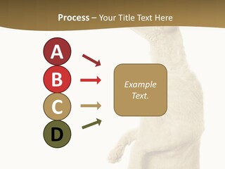 Cat Pet Inquisitive PowerPoint Template