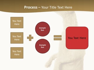 Cat Pet Inquisitive PowerPoint Template