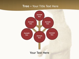 Cat Pet Inquisitive PowerPoint Template