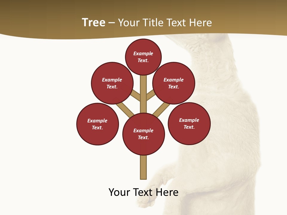 Cat Pet Inquisitive PowerPoint Template