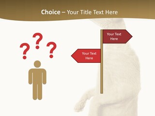 Cat Pet Inquisitive PowerPoint Template