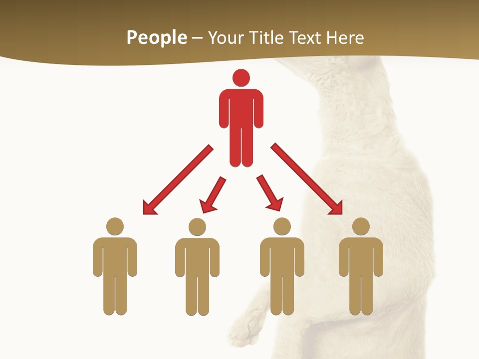 Cat Pet Inquisitive PowerPoint Template