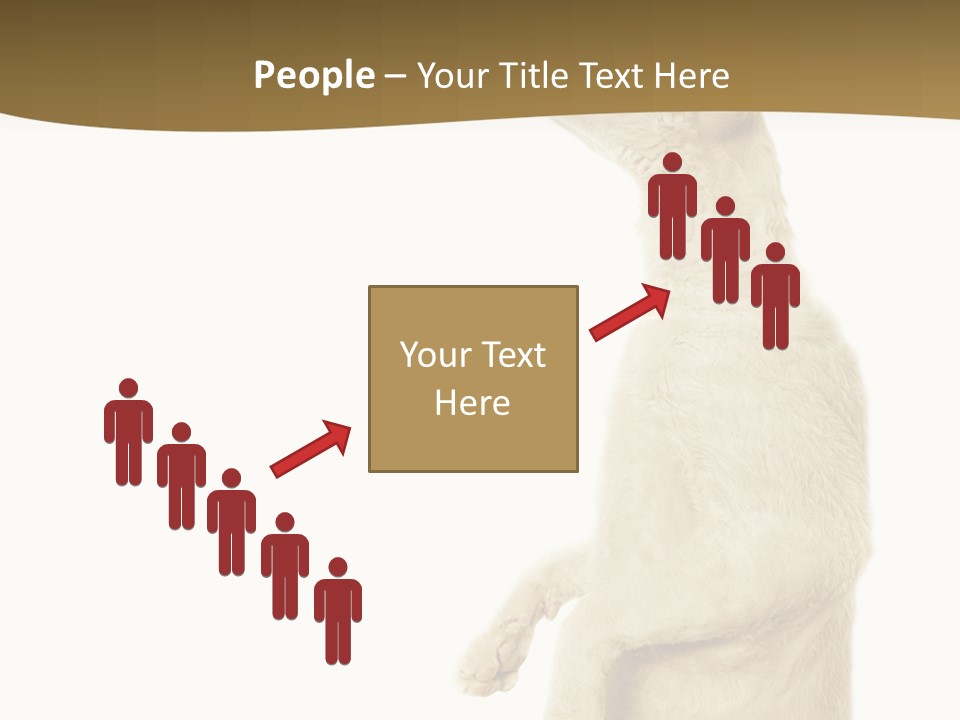 Cat Pet Inquisitive PowerPoint Template