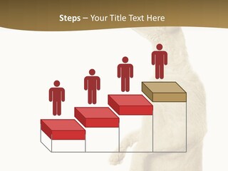Cat Pet Inquisitive PowerPoint Template