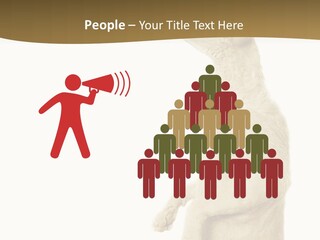 Cat Pet Inquisitive PowerPoint Template