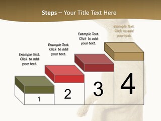 Cat Pet Inquisitive PowerPoint Template