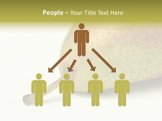 Corporate Group Figure PowerPoint Template