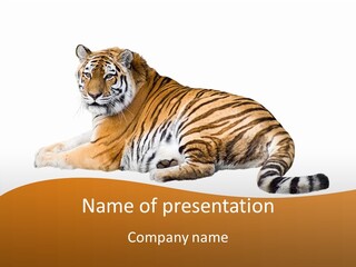 Alone One Wildlife PowerPoint Template