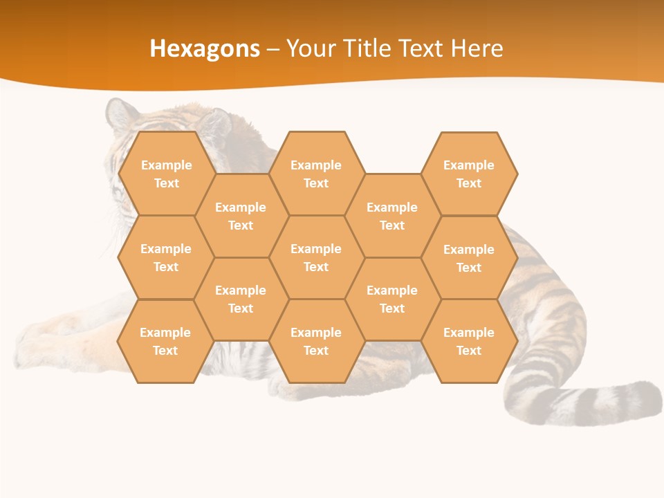 Alone One Wildlife PowerPoint Template