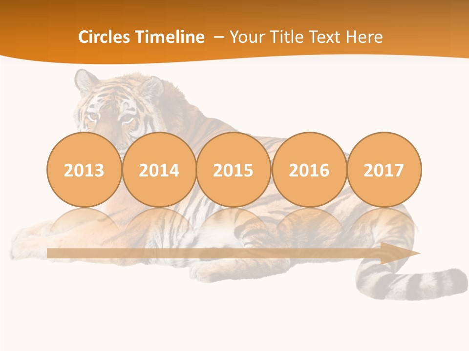 Alone One Wildlife PowerPoint Template