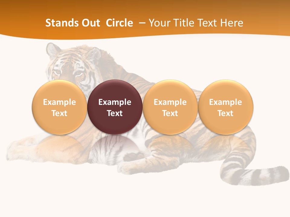 Alone One Wildlife PowerPoint Template