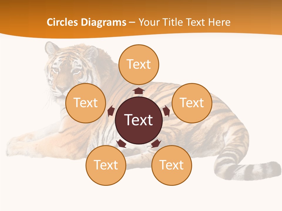 Alone One Wildlife PowerPoint Template