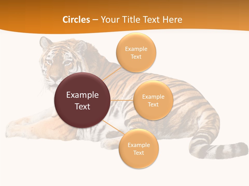 Alone One Wildlife PowerPoint Template