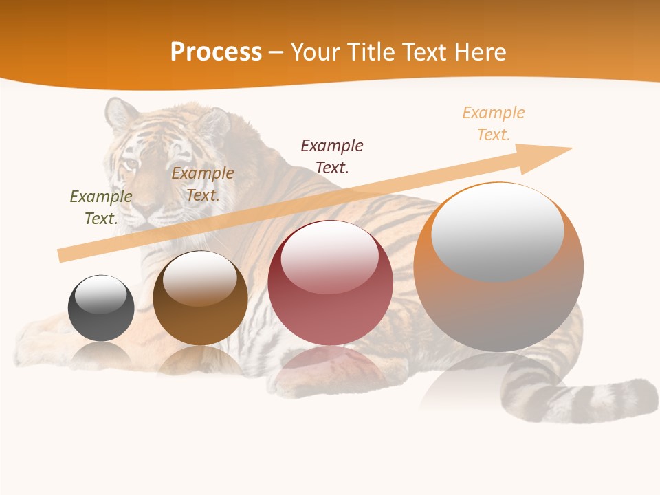 Alone One Wildlife PowerPoint Template