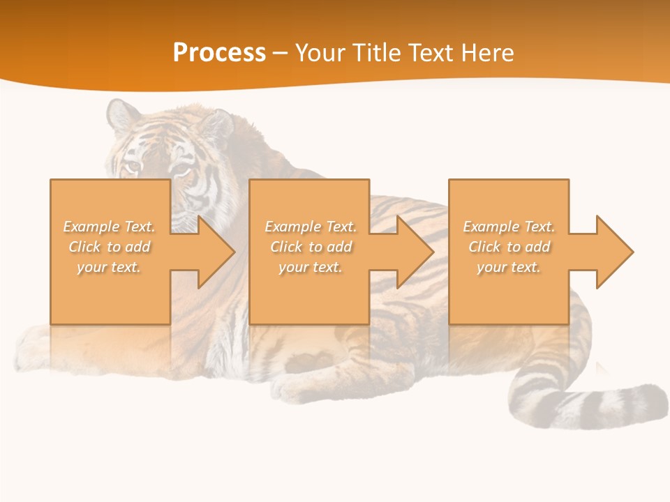 Alone One Wildlife PowerPoint Template