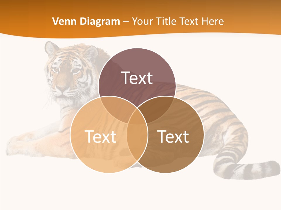 Alone One Wildlife PowerPoint Template