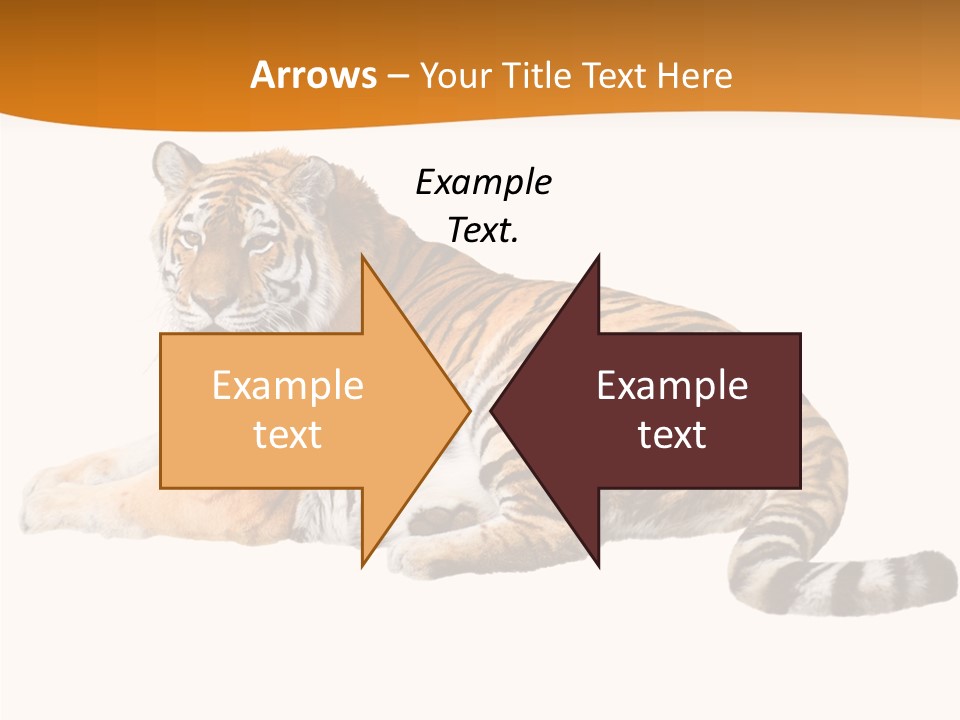 Alone One Wildlife PowerPoint Template