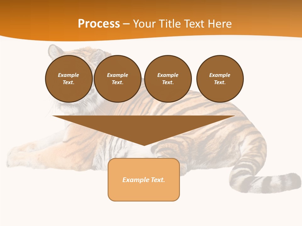 Alone One Wildlife PowerPoint Template