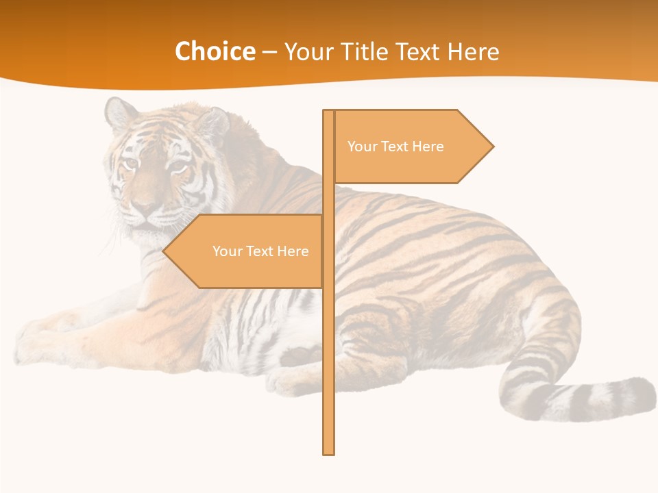 Alone One Wildlife PowerPoint Template