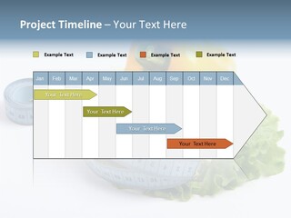 Orange Vegan Natural PowerPoint Template