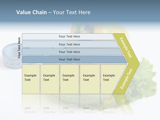 Orange Vegan Natural PowerPoint Template