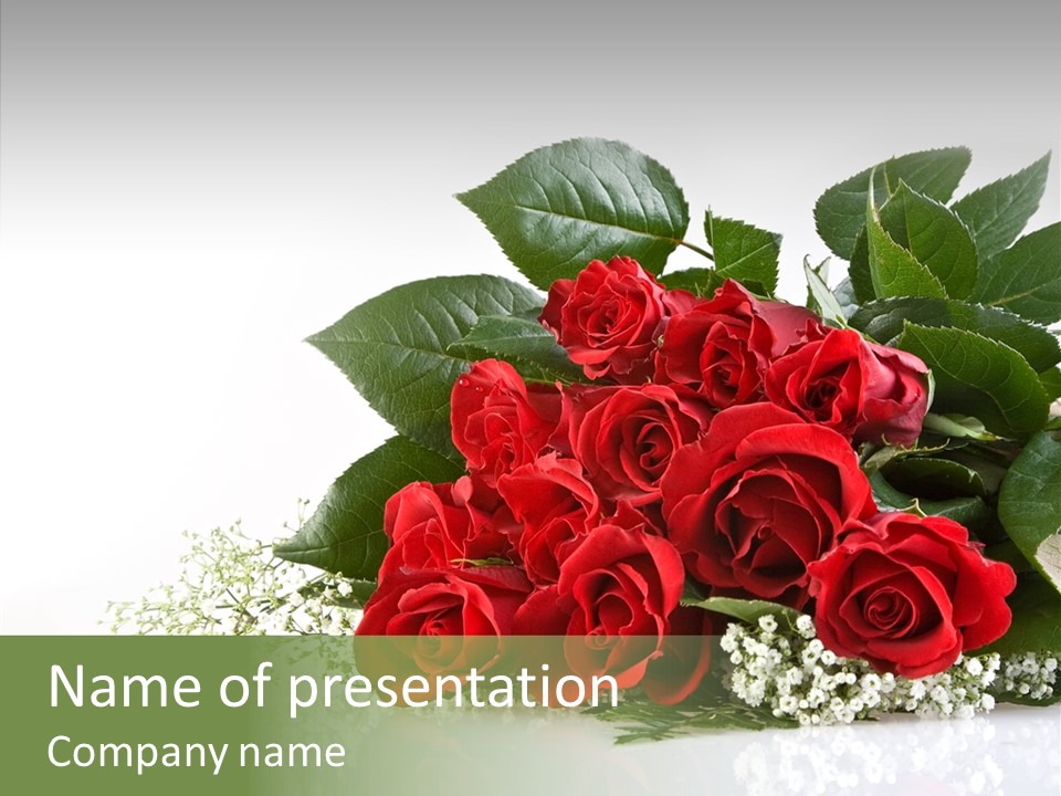 Red White Elegance PowerPoint Template