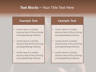 Humorou Character Di Cu Ion PowerPoint Template