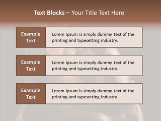 Humorou Character Di Cu Ion PowerPoint Template