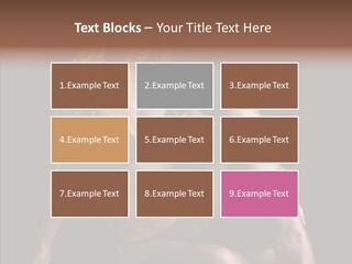 Humorou Character Di Cu Ion PowerPoint Template