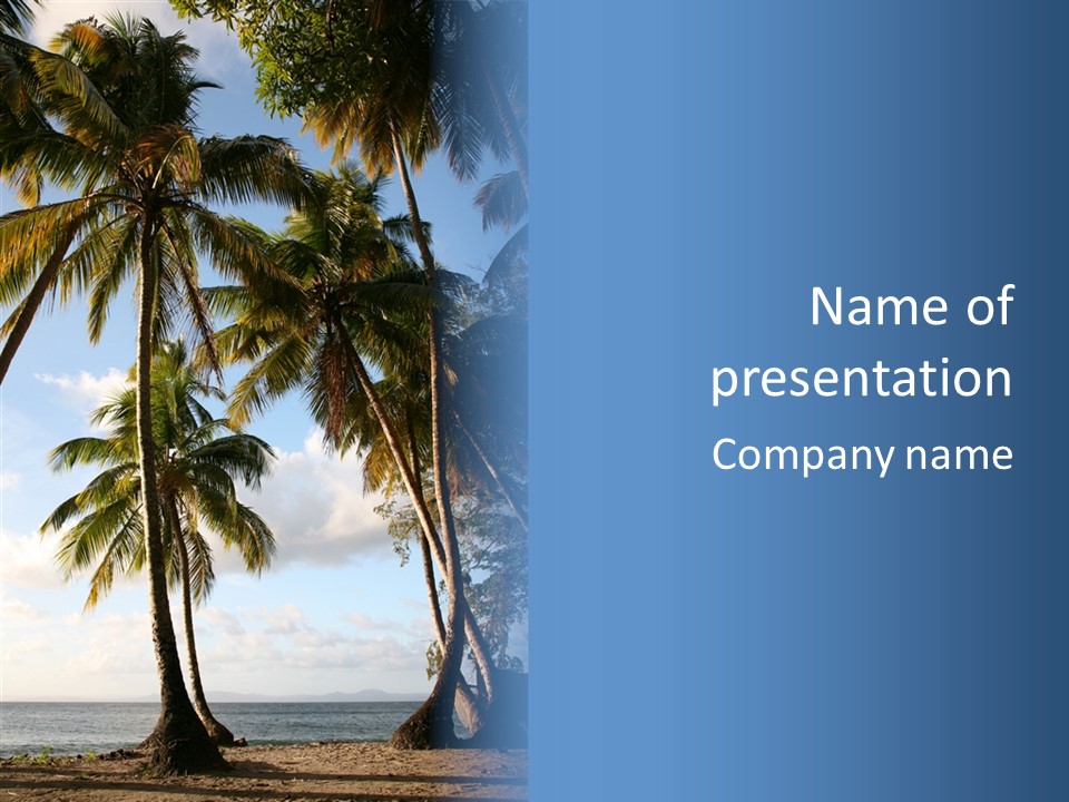 Tourism Shore Coconut PowerPoint Template