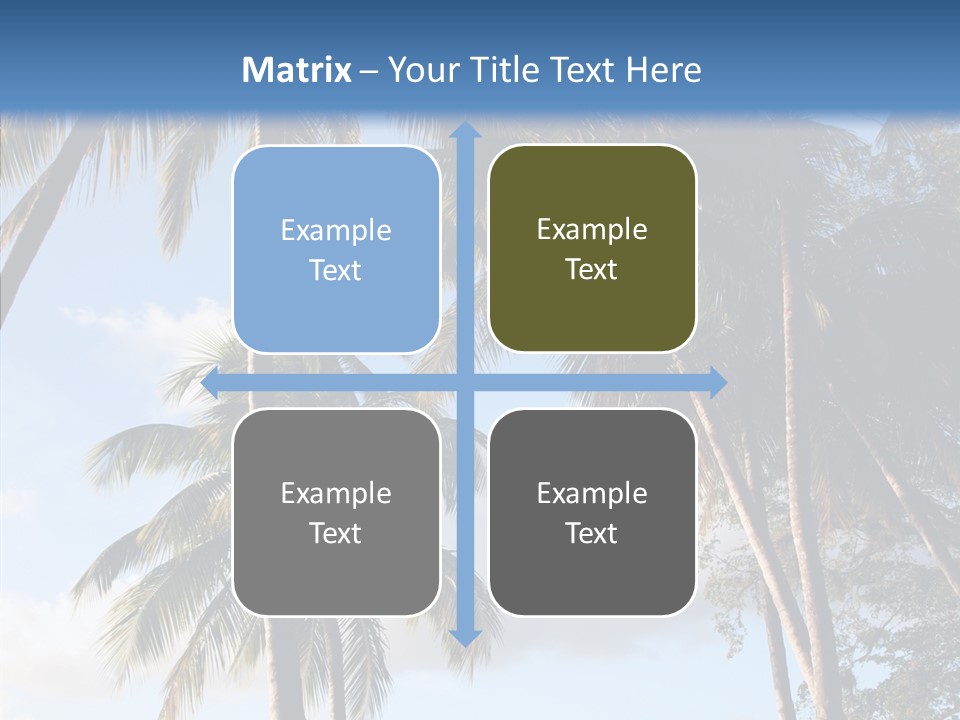 Tourism Shore Coconut PowerPoint Template