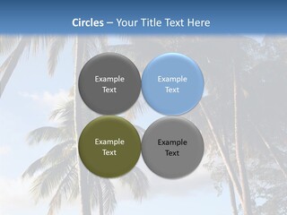 Tourism Shore Coconut PowerPoint Template