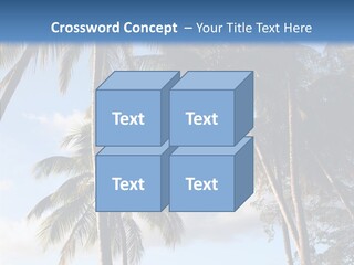 Tourism Shore Coconut PowerPoint Template