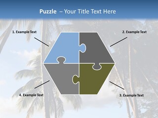 Tourism Shore Coconut PowerPoint Template