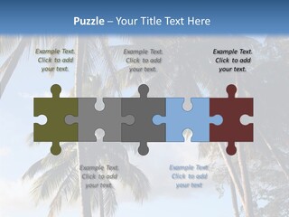 Tourism Shore Coconut PowerPoint Template