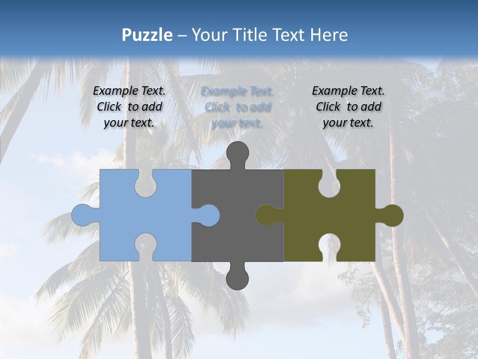 Tourism Shore Coconut PowerPoint Template