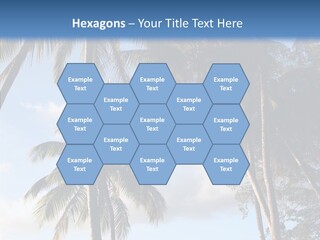 Tourism Shore Coconut PowerPoint Template