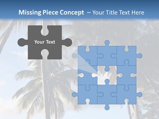 Tourism Shore Coconut PowerPoint Template