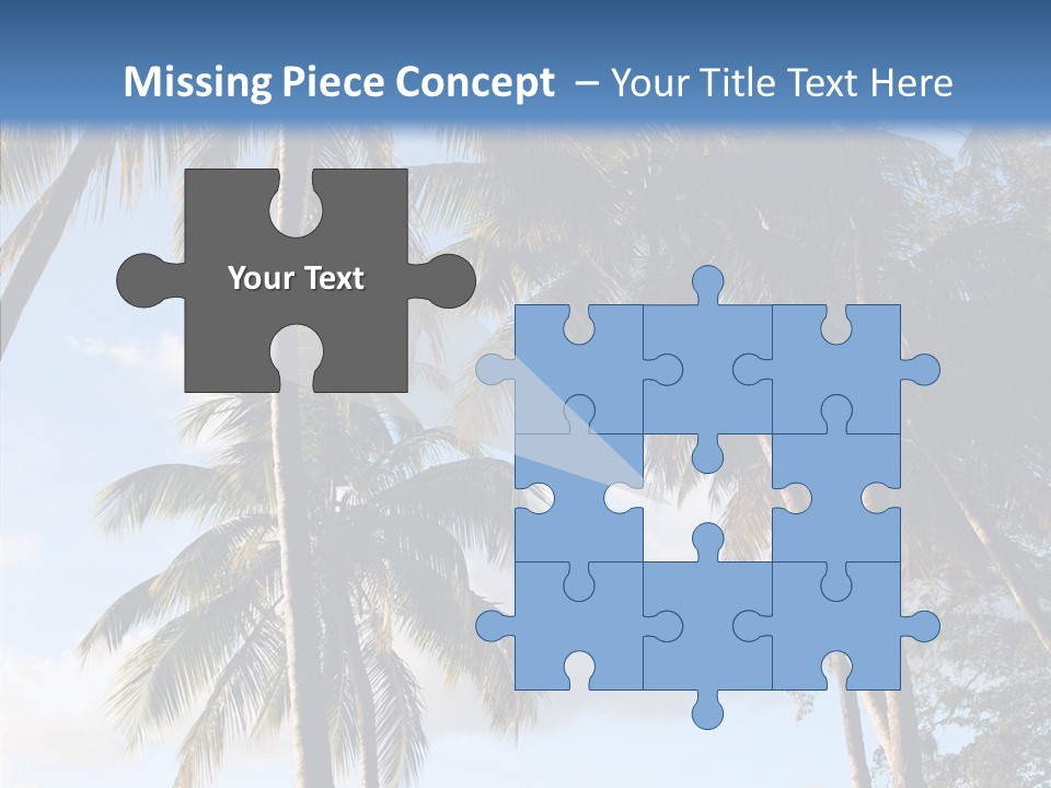 Tourism Shore Coconut PowerPoint Template