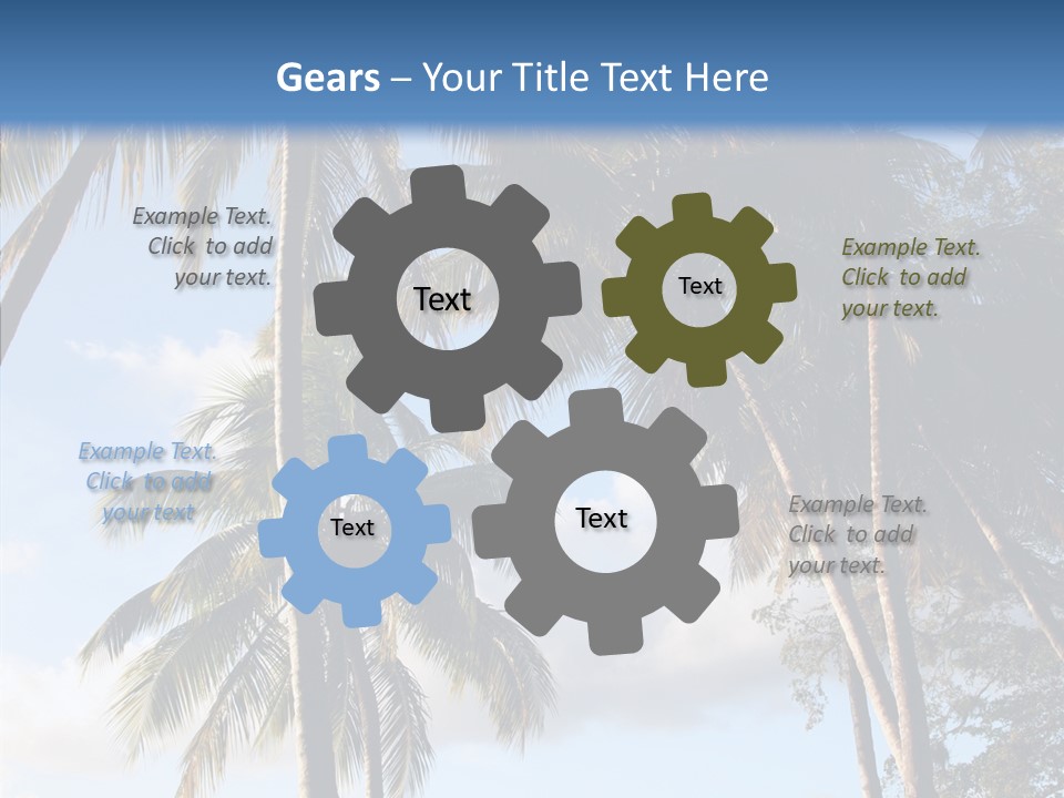 Tourism Shore Coconut PowerPoint Template