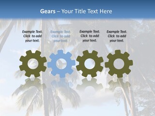 Tourism Shore Coconut PowerPoint Template