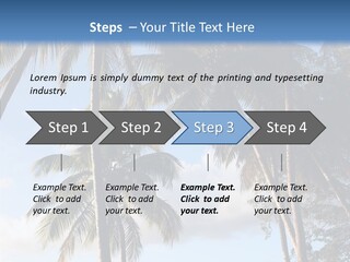 Tourism Shore Coconut PowerPoint Template