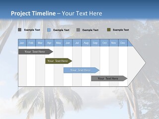 Tourism Shore Coconut PowerPoint Template