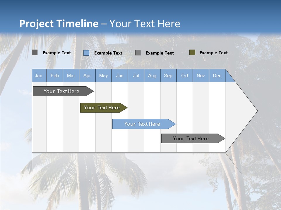 Tourism Shore Coconut PowerPoint Template