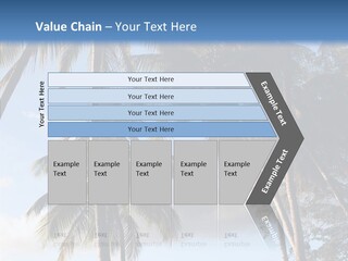 Tourism Shore Coconut PowerPoint Template