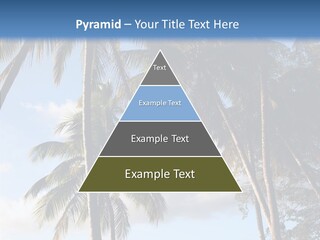 Tourism Shore Coconut PowerPoint Template