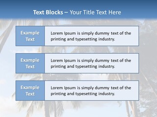 Tourism Shore Coconut PowerPoint Template