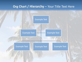 Tourism Shore Coconut PowerPoint Template